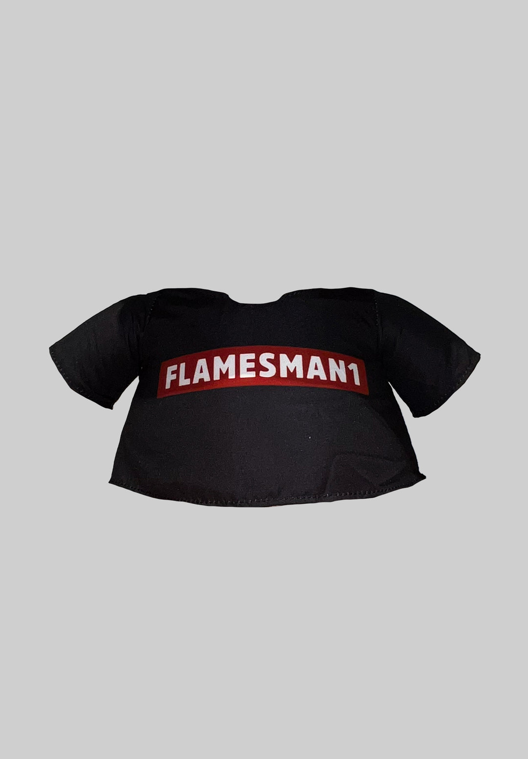 "Monkey" Teddy + Flamesman1 t-shirt